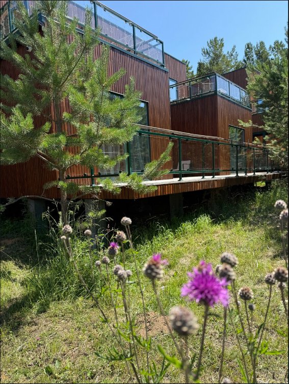 Байкал летом